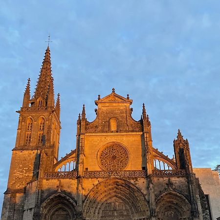 Le Clos De La Cathedrale Bazas Luaran gambar