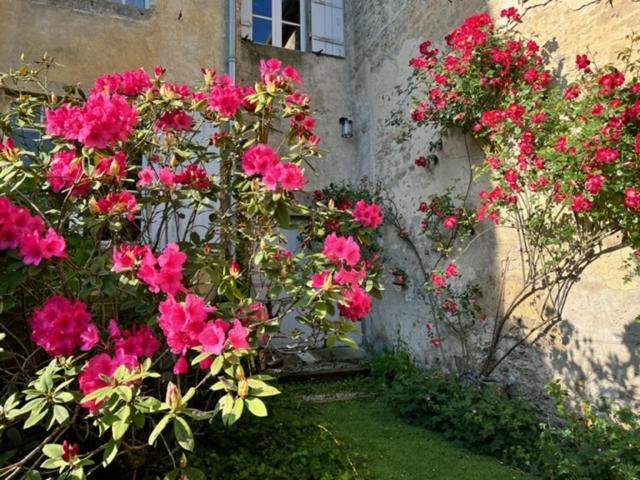 Le Clos De La Cathedrale Bazas Luaran gambar